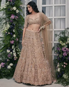 Adeeba Lehenga Set